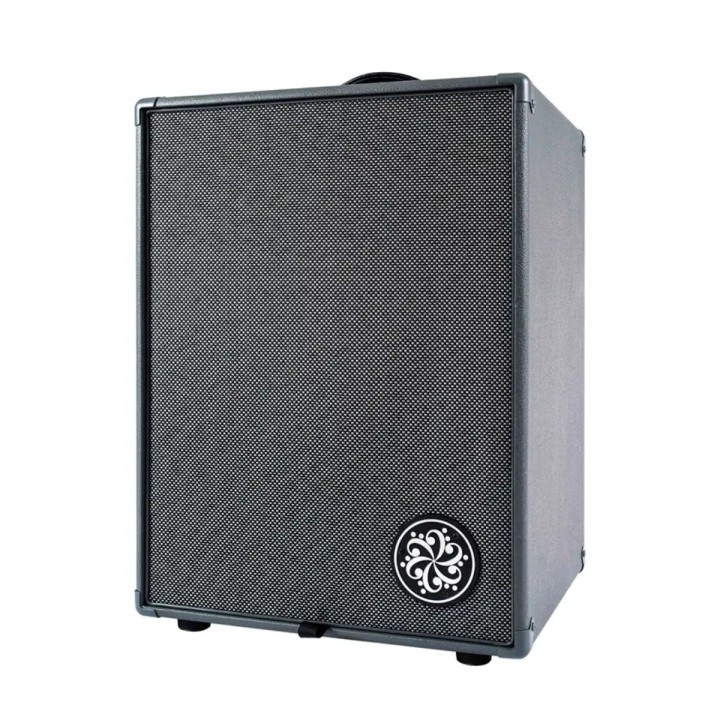 Darkglass D210D Bass Combo