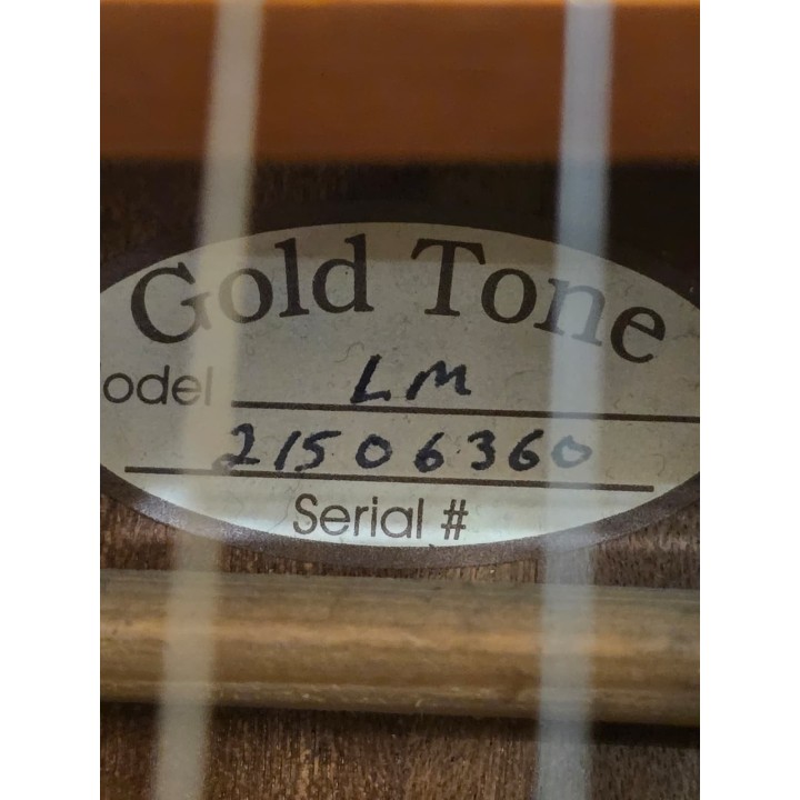 Gold Tone LM Weissenborn + Pickup Chitarra Weissenborn Amplificata