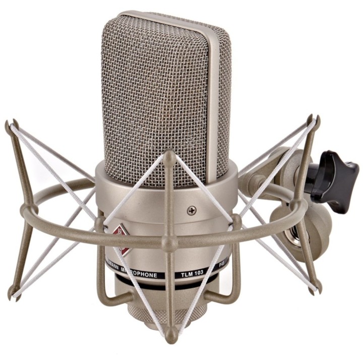Acquista NEUMANN TLM 103 Ni Stereo Set online | Merula Strumenti Musicali