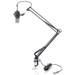 Bespeco MSRA10 - Asta Microfonica Con Braccio Flessibile