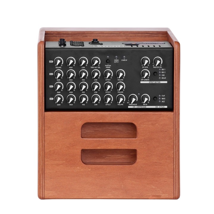 Acus One Forstrings 5 Ferdi Wood | Merula Magazzino Musicale | Disponibile