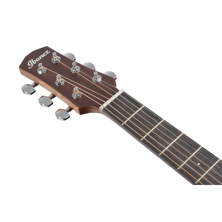 Ibanez - AAM50CESBO