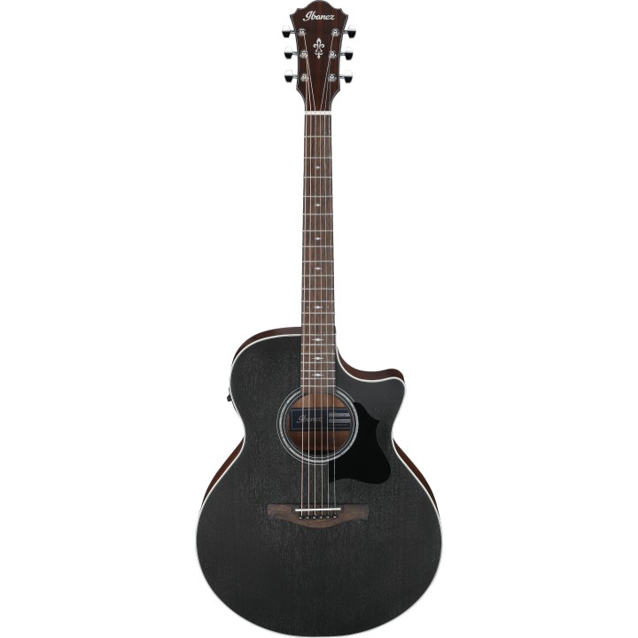 Ibanez - AE140WKH