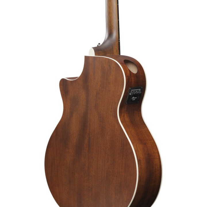 Ibanez - AE140WKH