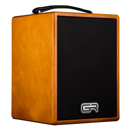 GR Guitar WD Acoustic 5 Amplificatore per chitarra acustica