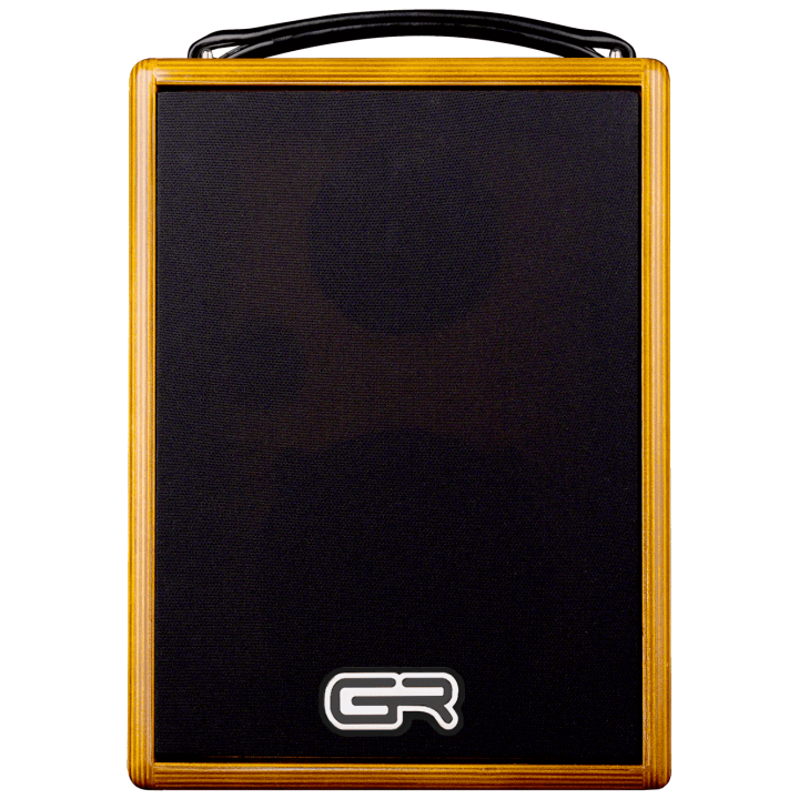 GR Guitar WD Acoustic 5 Amplificatore per chitarra acustica