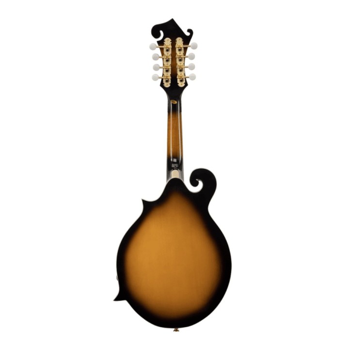 Soundsation - Mandolino Soundsation Bluegrass BMA-100ES Sunburst F Style + Pickup