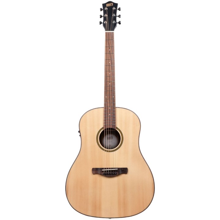 Henry's Daily HDJ2-E Natural HEHJD2ENAT Chitarra acustica amplificata