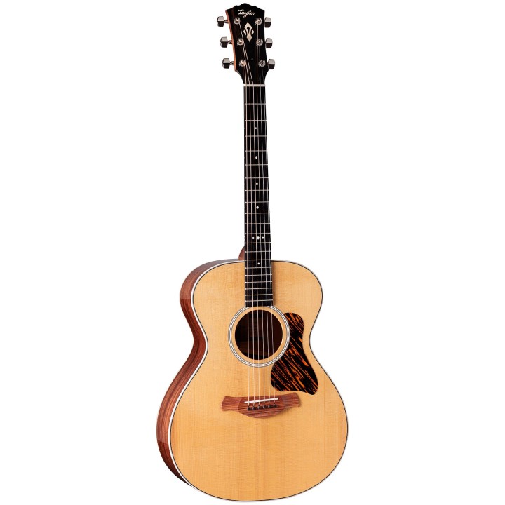 Taylor Gold Label 512e Chitarra acustica amplificata