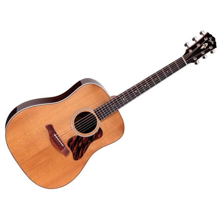 Taylor Gold Label 710e Chitarra acustica amplificata