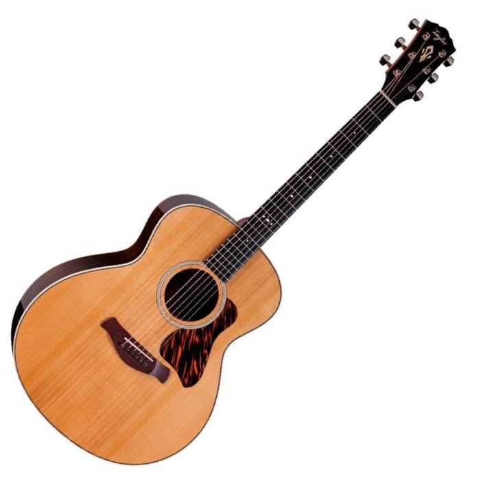 Taylor Gold Label 714e Chitarra acustica amplificata