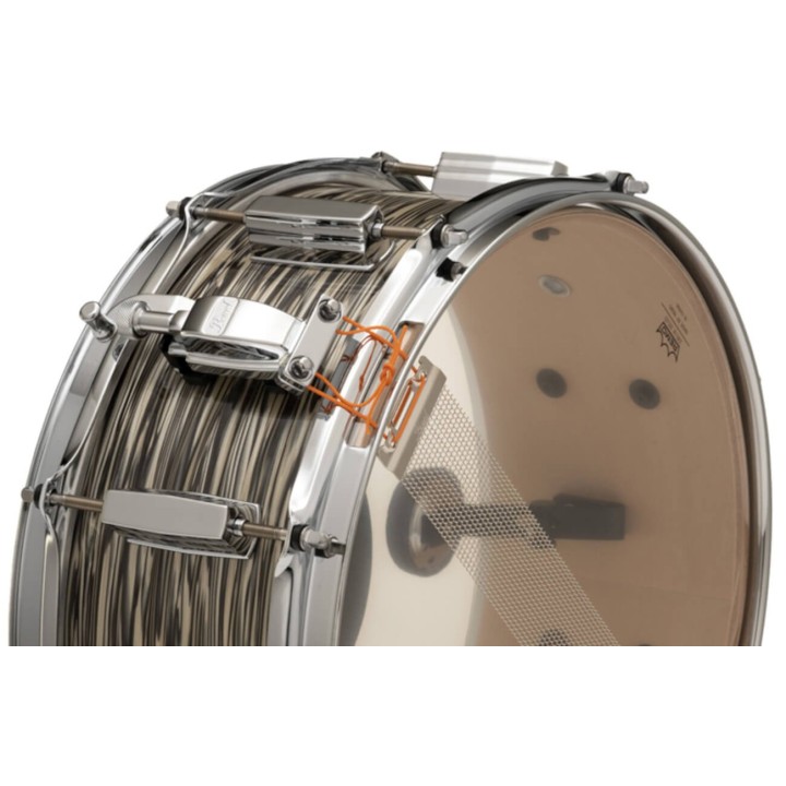 Pearl - PSD1455SE/C768 Snare President 75° Anniversario