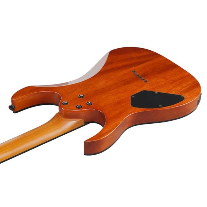 Ibanez GRGR221FA TDK - Chitarra elettrica