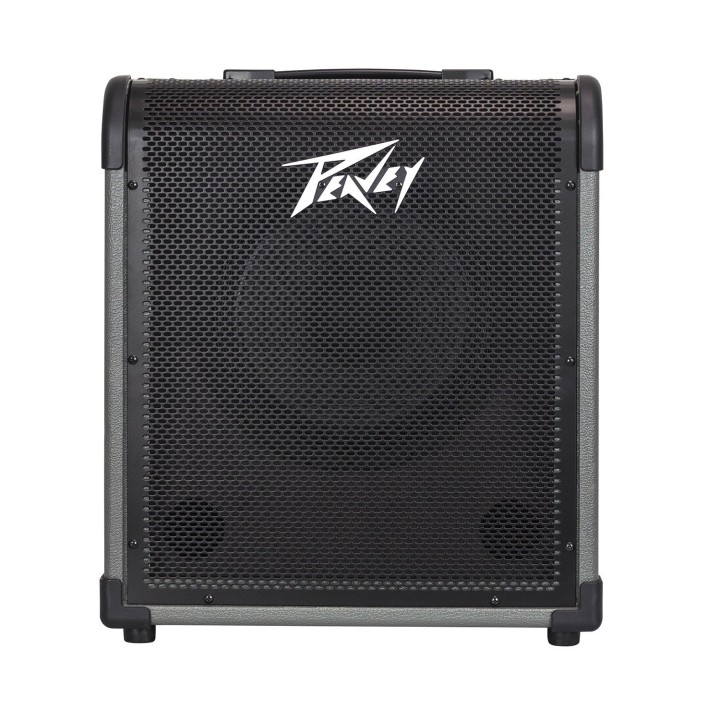 Peavey MAX 100 - Ampli Combo Basso