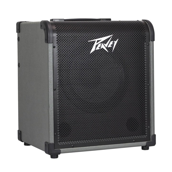 Peavey MAX 100 - Ampli Combo Basso