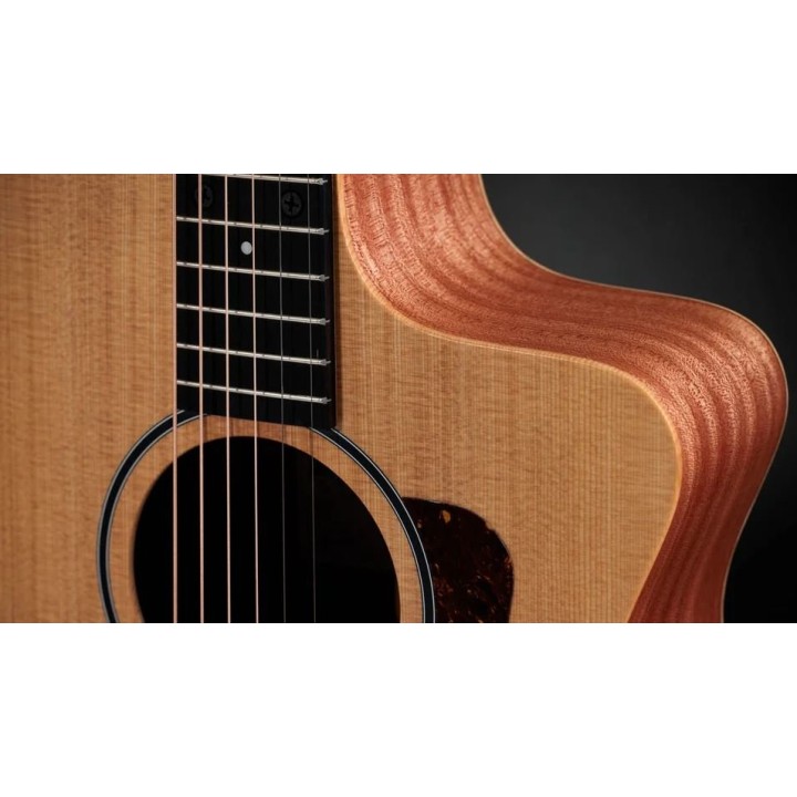 Taylor - 14CE