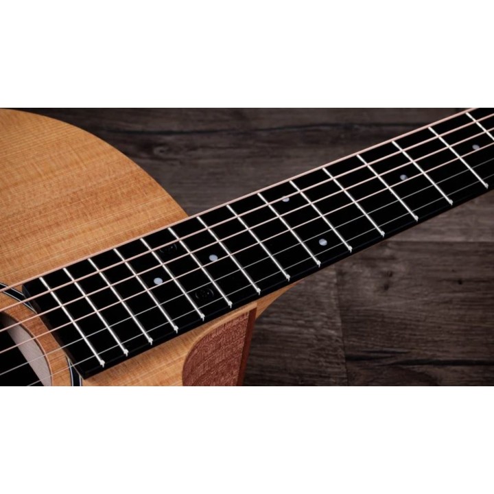 Taylor - 14CE
