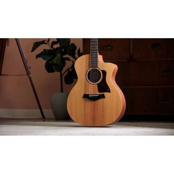 Taylor - 14CE