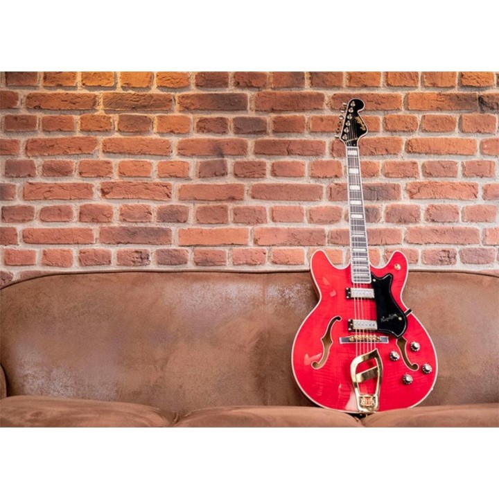 Hagstrom - Viking 67 WCT