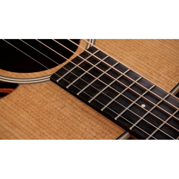 Taylor - Gold Label 510e Natural