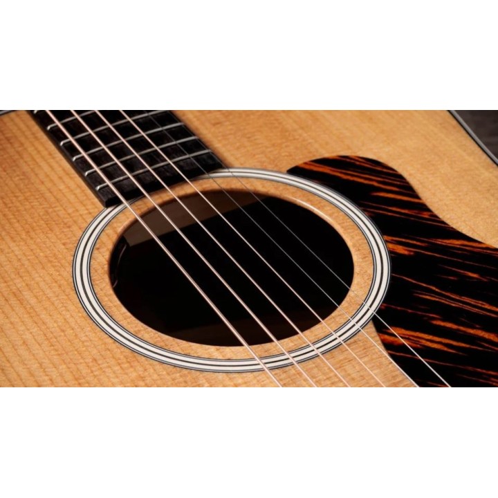 Taylor - Gold Label 510e Natural
