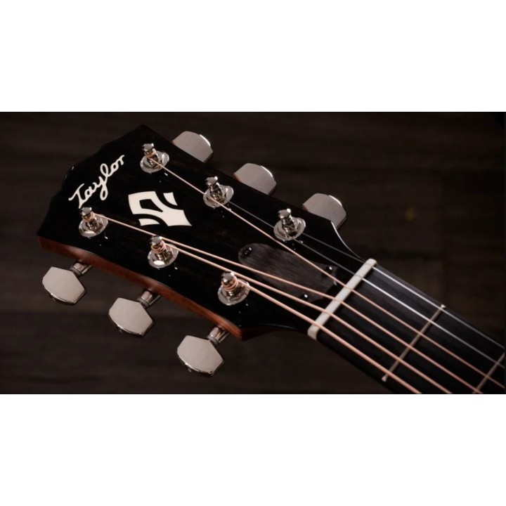 Taylor - Gold Label 510e Natural