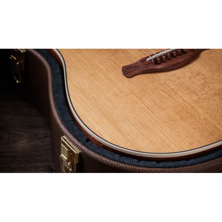 Taylor - Gold Label 510e Natural