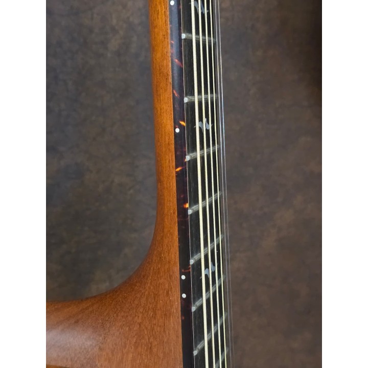 Taylor - K20 C Anno 1999 (Usato)