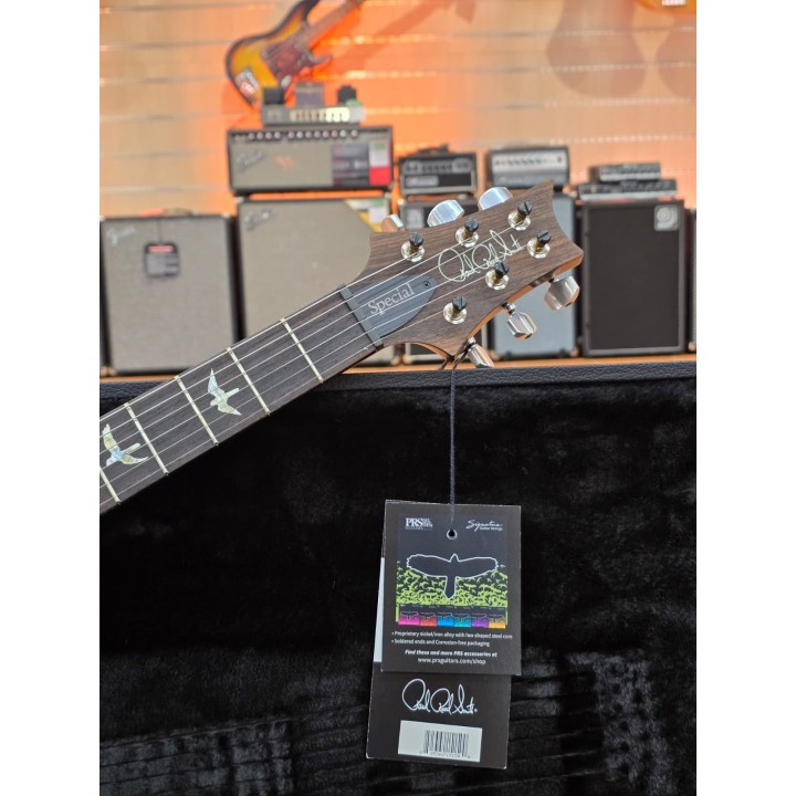 PRS - SPECIAL SEMI-HOLLOW PURPLE IRIS | Merula Strumenti Musicali