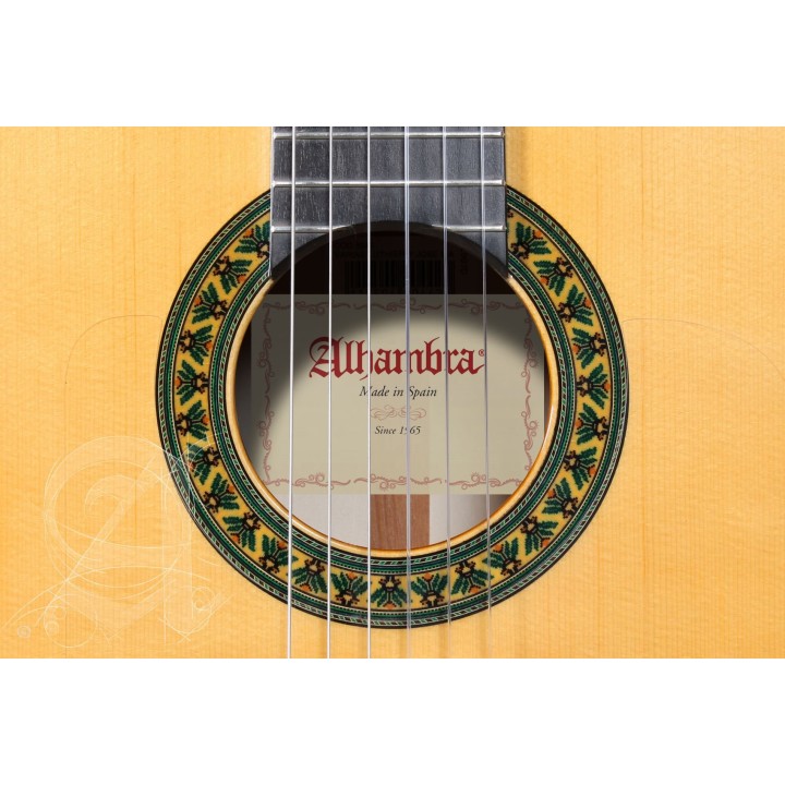 Alhambra 5F con borsa | Merula Strumenti Musicali