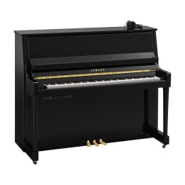Yamaha B30 SC3 PE - Verticale Silent