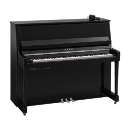 Yamaha B30 SC3 PEC - Verticale Silent