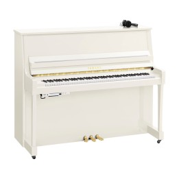 Yamaha B30 SC3 PWH - Verticale Silent