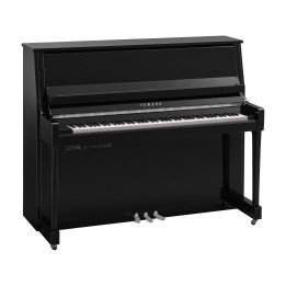 Yamaha B30 TC3 PEC - Verticale TransAcoustic