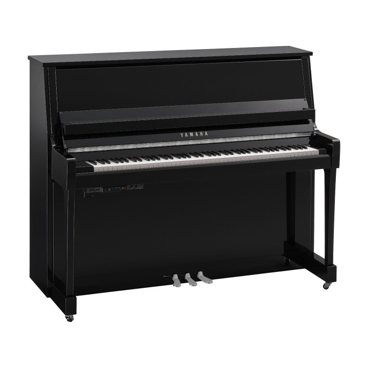 Yamaha B30 TC3 PEC - Verticale TransAcoustic