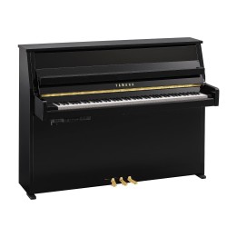Yamaha B10 TC3 PE - Verticale TransAcoustic