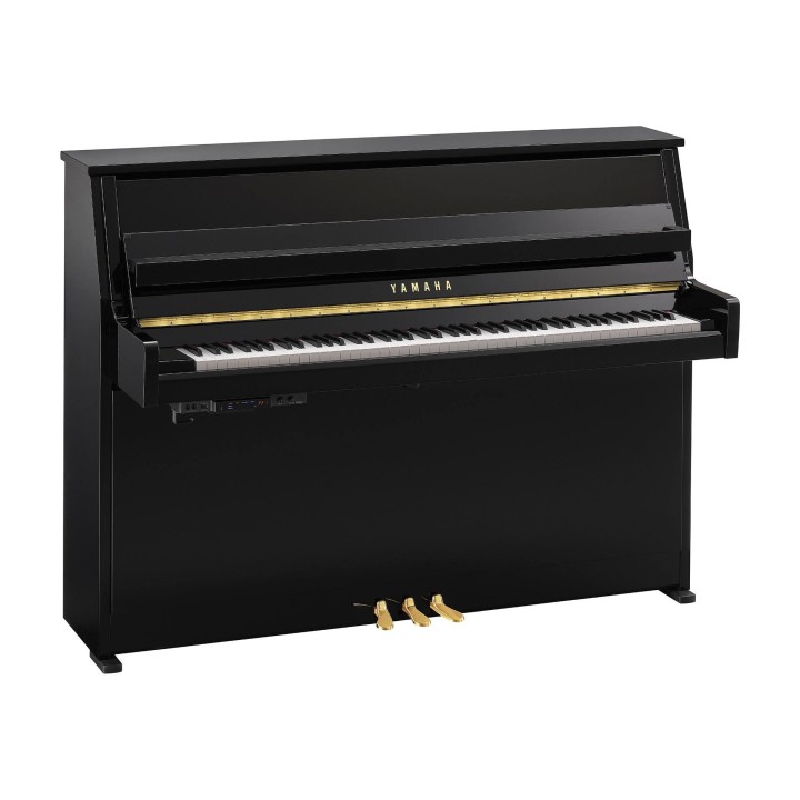 Yamaha B10 TC3 PE - Verticale TransAcoustic