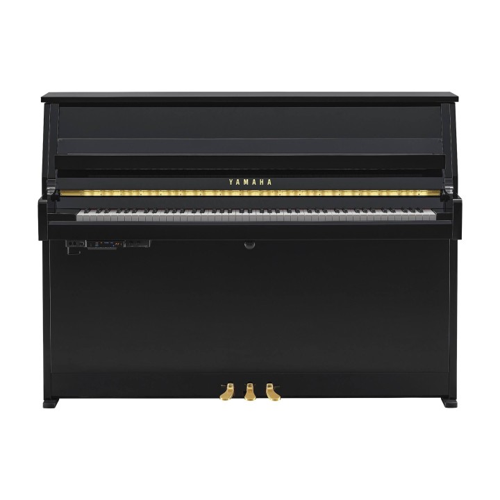 Yamaha B10 TC3 PE - Verticale TransAcoustic