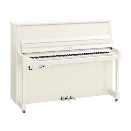 Yamaha B20 SC3 PWHC - Verticale Silent