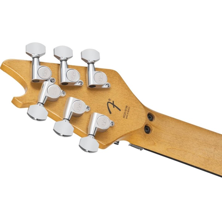 EVH - Limited Edition Wolfgang SPC AGED RBW STRIPED LTD ED