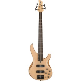 Acquista YAMAHA Trbx605fmns online | Merula Strumenti Musicali
