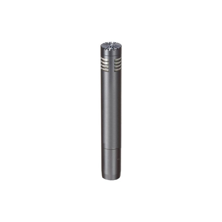Acquista AUDIO-TECHNICA AT2031 online | Merula Strumenti Musicali