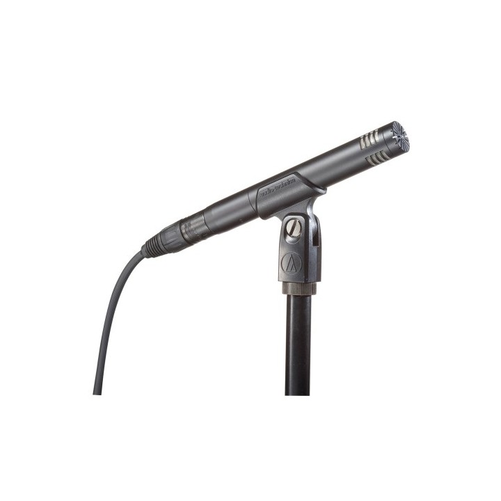 Acquista AUDIO-TECHNICA AT2031 online | Merula Strumenti Musicali