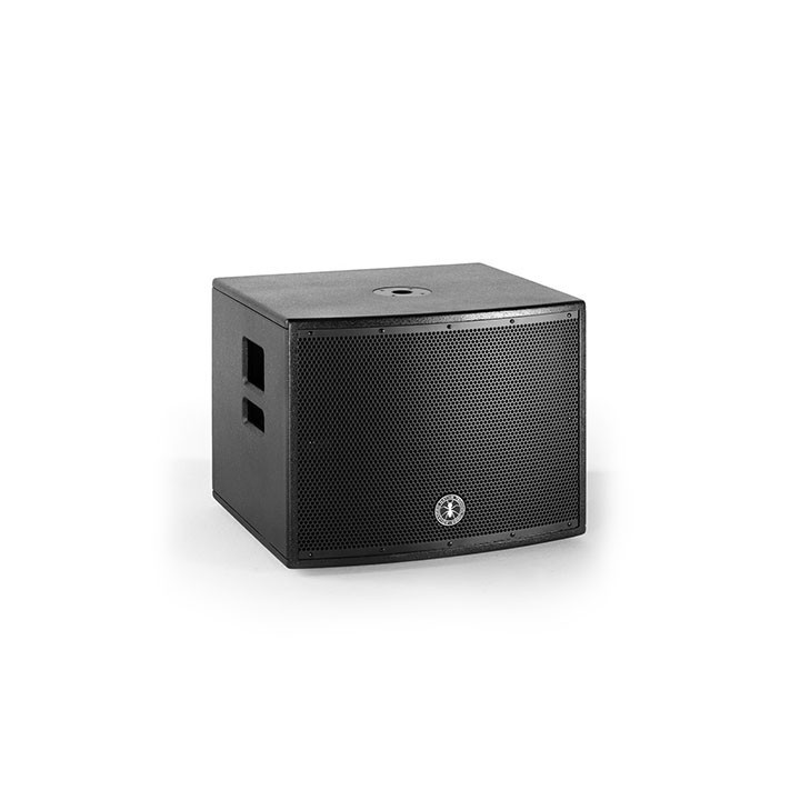 Acquista ANT GREENHEAD SUB 15 online | Merula Strumenti Musicali