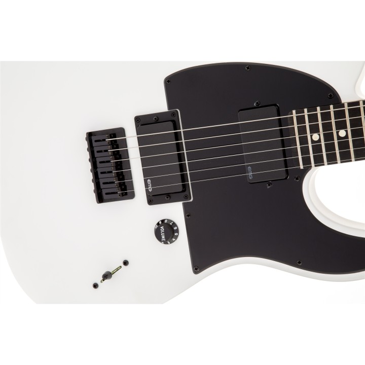 Acquista FENDER Jim Root Telecaster, Ebony Fingerboard, Flat White online | Merula Strumenti Musicali