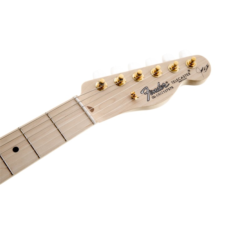 Acquista FENDER James Burton Telecaster, Maple Fingerboard, Red Paisley Flames online | Merula Strumenti Musicali