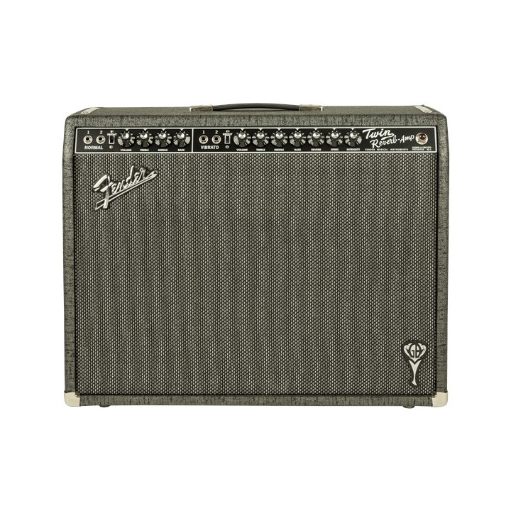 Acquista FENDER Gb Twin Reverb, 230v Eur online | Merula Strumenti Musicali