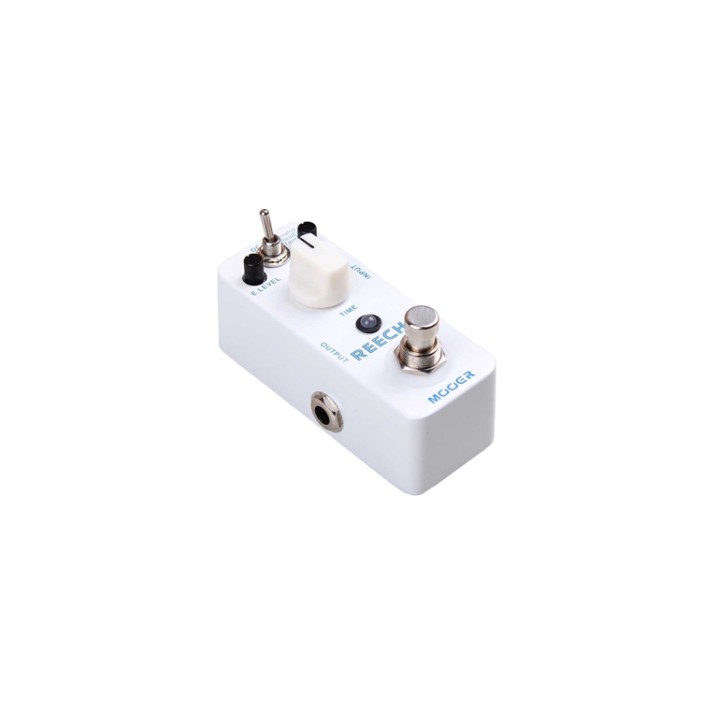 Acquista MOOER REECHO - DIGITAL DELAY online | Merula Strumenti Musicali