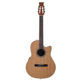 Acquista APPLAUSE AB24CII NYLON online | Merula Strumenti Musicali