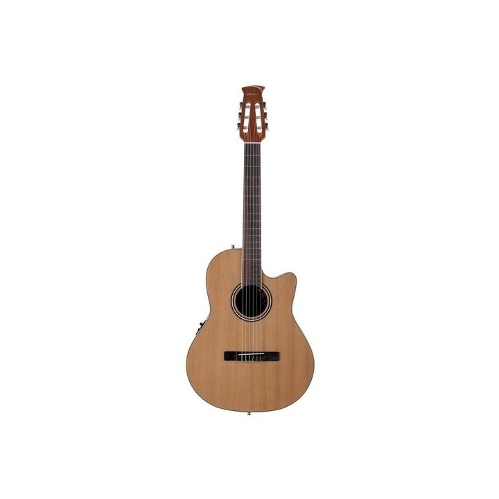 Acquista APPLAUSE AB24CII NYLON online | Merula Strumenti Musicali